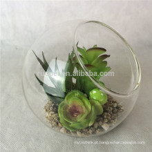 linda mini planta suculenta verde artificial com vaso de vidro